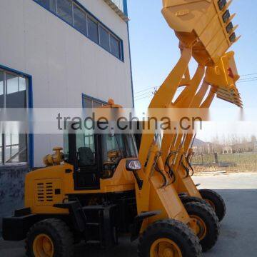 Cheap Price Chinese Famous Skip Loader for Sale photo-4