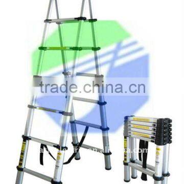 9 Steps Telescopic Ladder