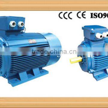 Y2 ELECTRIC MOTOR water pump motor