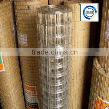 High Quality 2x2 Galvanized Welded Wire Mesh