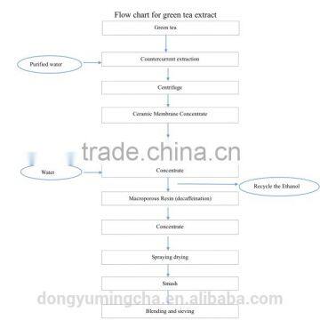 100% Natural Green Tea Extract Catechin With Low Price photo-6