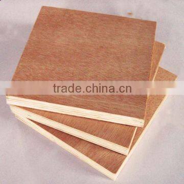 China popular bintangor plywood for packing