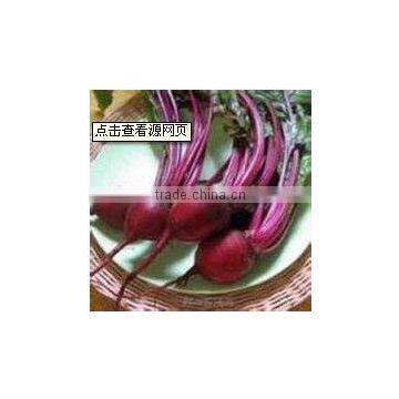 Natural Beet Red Food Coloring/Natural color