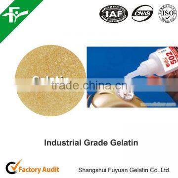 Buy Industrial Technical Gelatin photo-3