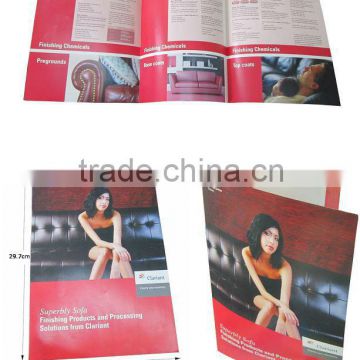 High quality printed flyer with sofa advertisement