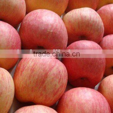 China Fresh Perfumed Fuji Apple