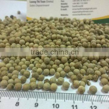 Vietnam White Pepper 630G/L doubled washed TOP EXPORTER (Whatsaaps/Viber: 0084965152844)