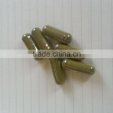 Dried Moringa in Capsules