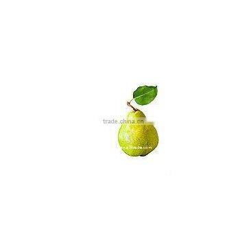 varieties Chinese fresh pear