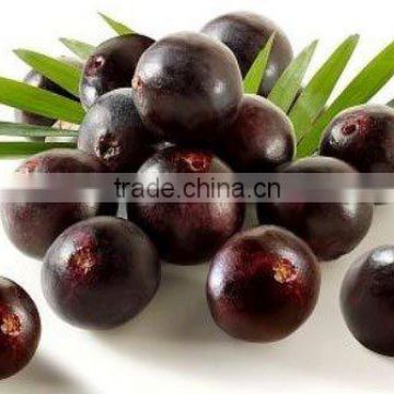 High-quality IAnti-oxidant Brazilian Acai berry Powder Extract with Anthocynidins 1--10% and Polyphenols 1--10%