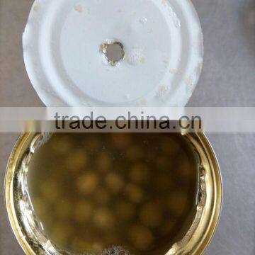 400g Canned Fava Beans Manufacturer in China photo-5
