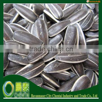 Buy Big Sunflower Seeds 5009 (24/64 280-320pcs/50GM)