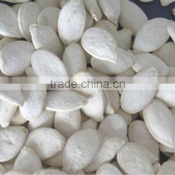 sell roasted and salted pumpkin seeds 11cm,12cm,13cm