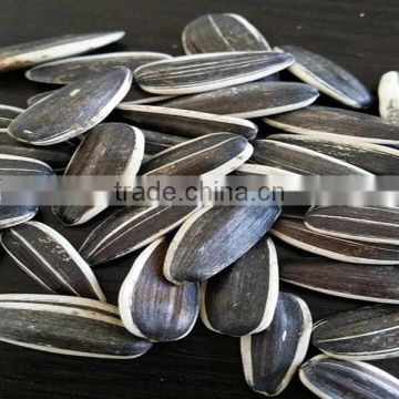 Chinese Sunflower seeds 5009 with 270-280pcs