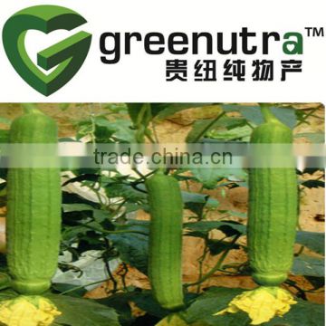 Luffa Cylindrica Extract