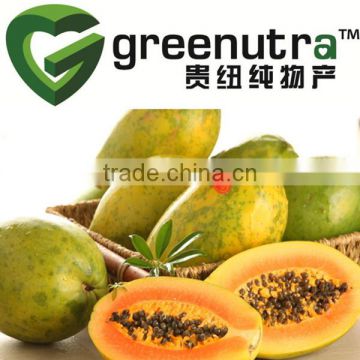 Papaya Fruit Powder