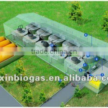 PUXIN medium and large size biogas plant for electricity