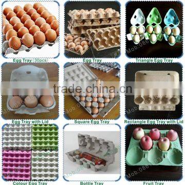 Machine Manufacturer Germany-Tec Paper Egg Tray Making Machine photo-4