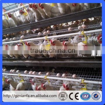 20 years lifespan A type of poultry egg chicken layer cage price/hen chicken cage(Guangzhou Factory)