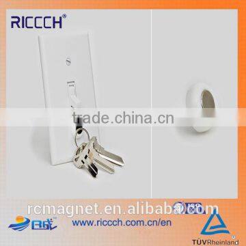 High Quality Pot Magnet/Wall Plate Screw With a Magnetic Top photo-3