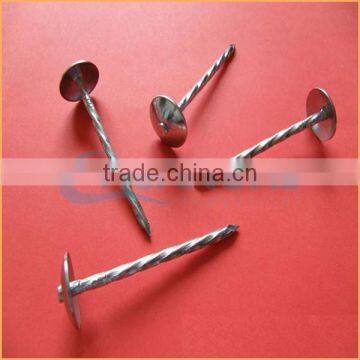 Top Quality Common Wire Nails / Roofing Nails / Galvanized Concrete Nails Trusted Chuanghe Suppliers From Com photo-4