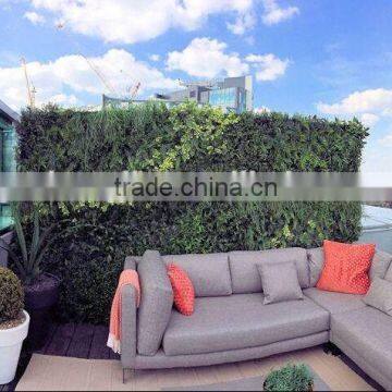 Exterior grade green walls made with Buxus sprays to create a simple green backdrop