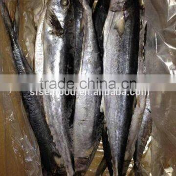 Seafood WR Frozen Spanish Mackerel Fish photo-3