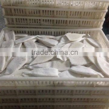 EU Stand Squid Tube Frozen photo-6