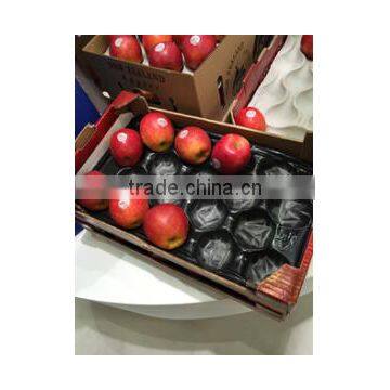 Blue Color Disposable Plastic Fruit Tray photo-5