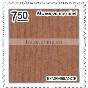 EV TEAK