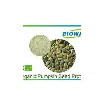 Organic Pumpkin Seed Protein