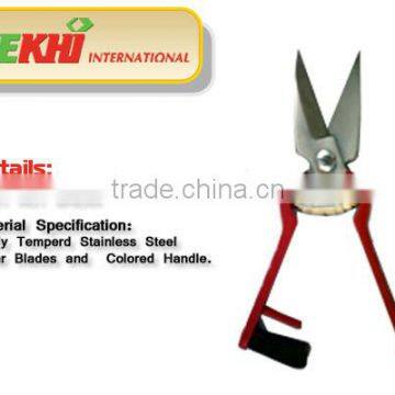 Pakistan Sheep Foot Rot shear,Foot Rot Shears color handle,hoof cutter