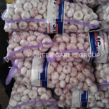 4.5-5cm, 5.5cm-6cm Ajo Blanco Normal Fresco Chino Con Embalaje Cajas de Cartón photo-5