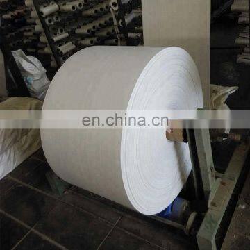 Moisture proof laminated PP woven fabric