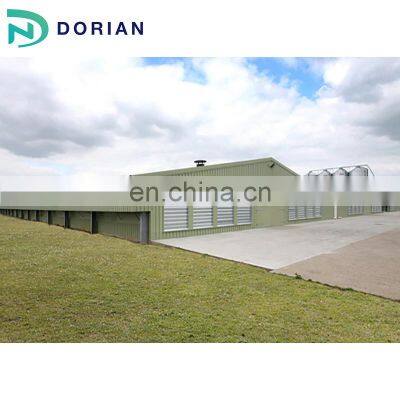 Professional Metal Structure Open Chicken House photo-2
