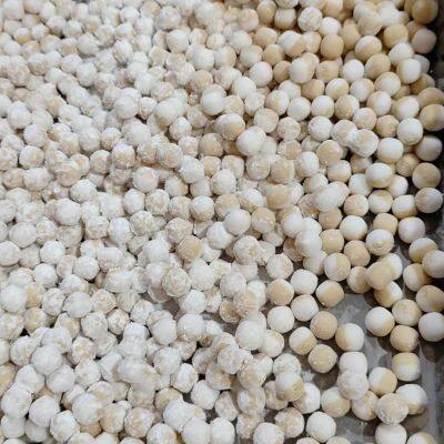 FY-006 Тайваньская машина для производства жемчуга из тапиоки, Sabudana (Sago) тапиока боба внутри фабрики photo-2