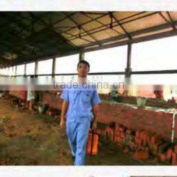 Good Design Tunnel Dryer for Fired Brick Drying photo-2