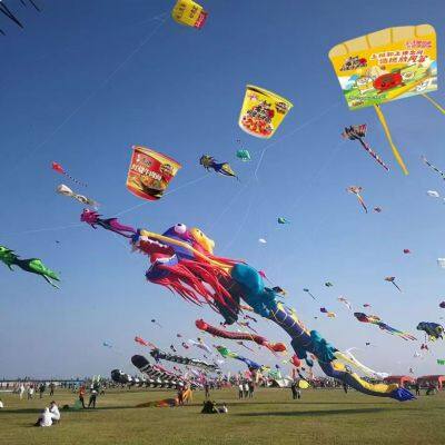 OEM All Shapes, Design and Kinds of Kites for Advertising and Activities Occasions