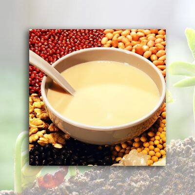 Flavored Soymilk Powder photo-5