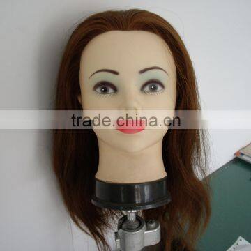 wholesale realistic female glass beauty school mannequin heads