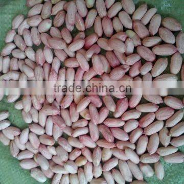 FLOWER 11 PEANUT KERNELS 24/28
