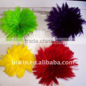 Strung Coque Hackle Feather