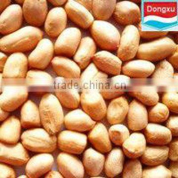 organic groundnut kernels baisha 40/50