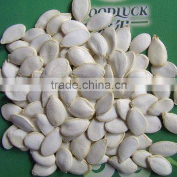 CHINESE PUMPKIN SEEDS