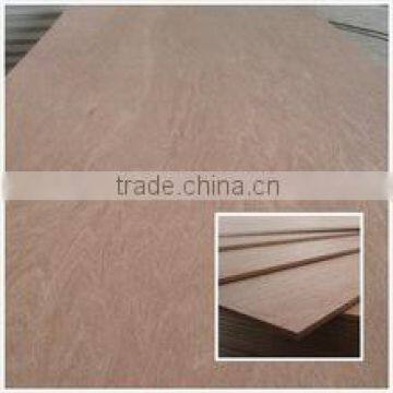 18mm waterproof bintangor plywood brand China