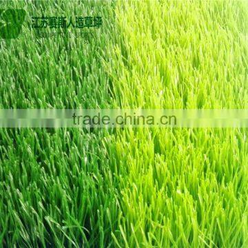 Gymnasium Use Cheap Artificial Grass Carpet photo-3