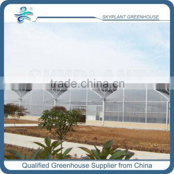 Cheap Galvanized Steel Frame Multiple Span Plastic Film Greenhouse for Flowers