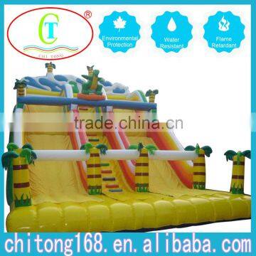 Giant Colorful Inflatable Pool / Bouncer Slide For Sale For Adults And Children