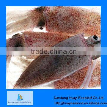 Frozen Argentine lllex squid supplier