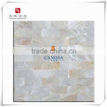 Narural ,Colorful,Home Decoration Shell Mosaic Mother of Pearl Shell Interior Wall Decoration Material for swimming ,villa,hotel